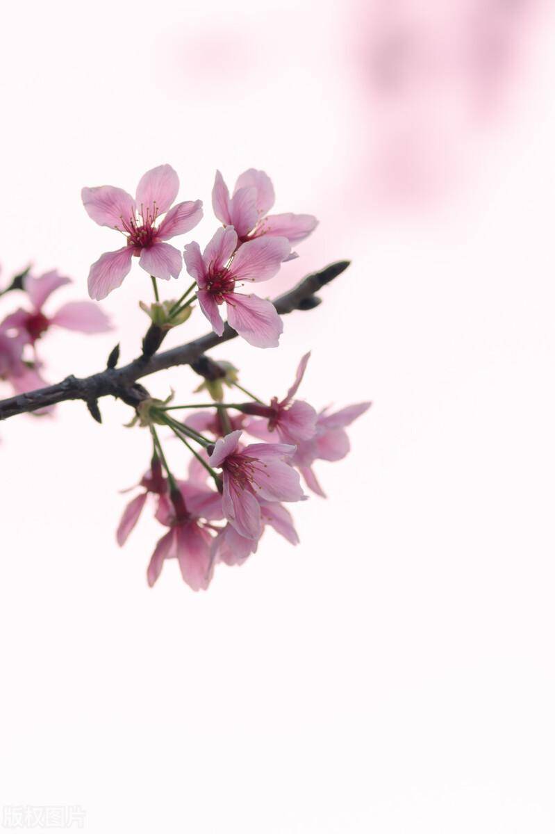 IM电竞 IM电竞官网提高企业管理水平的建议｜如何提高企业管理水平(图2)