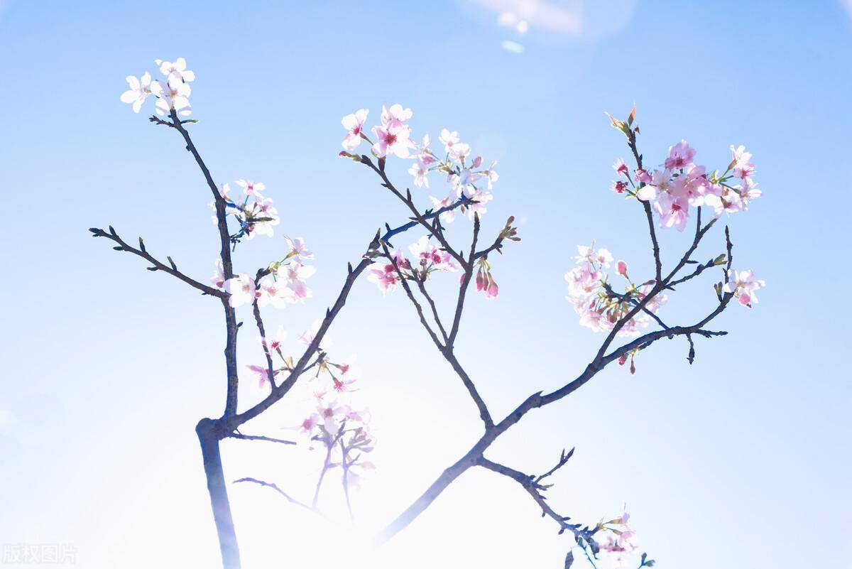IM电竞 IM电竞官网提高企业管理水平的建议｜如何提高企业管理水平(图5)