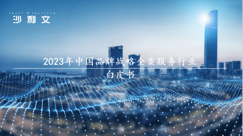 IM电竞沙利文认证中国战略营销策划3大领导公司排名