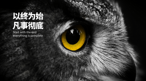 IM电竞沙利文认证中国战略营销策划3大领导公司排名(图3)