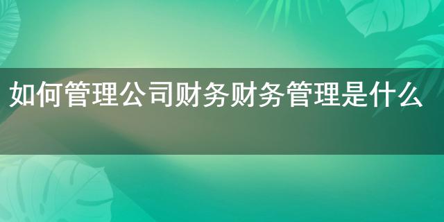 如何管理公司财务 财务管理是什么(图1)