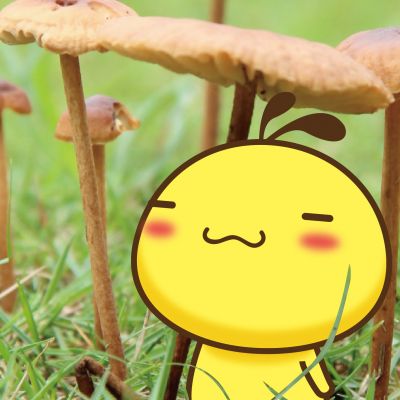新品牌怎么做品牌营销策划？(图3)