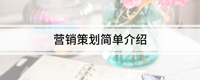 营销策划简单介绍